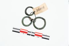 Foto von Bronzering (NHMW-PRAE-026114)